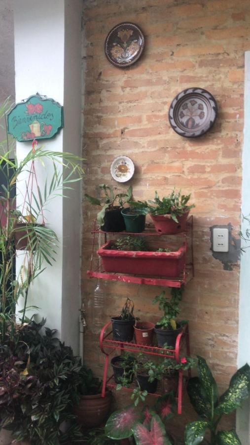 La Petite Maison De Diana อะซุนซิออง ภายนอก รูปภาพ