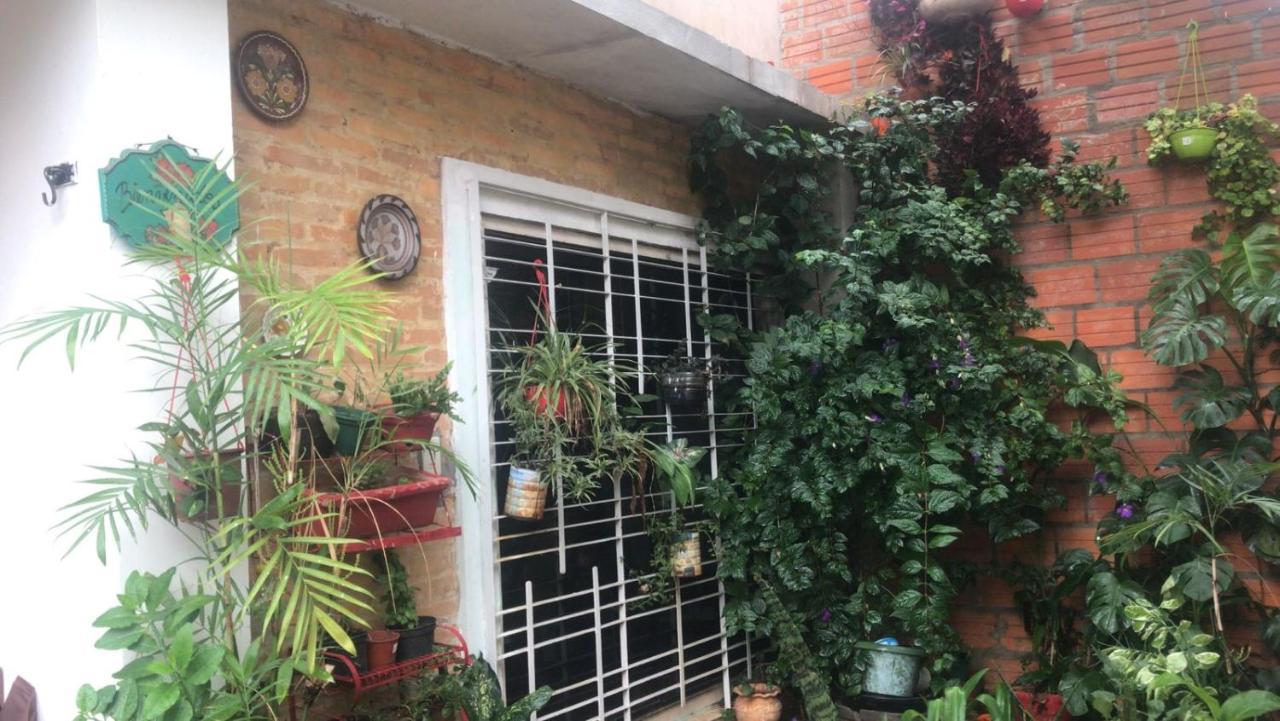La Petite Maison De Diana อะซุนซิออง ภายนอก รูปภาพ
