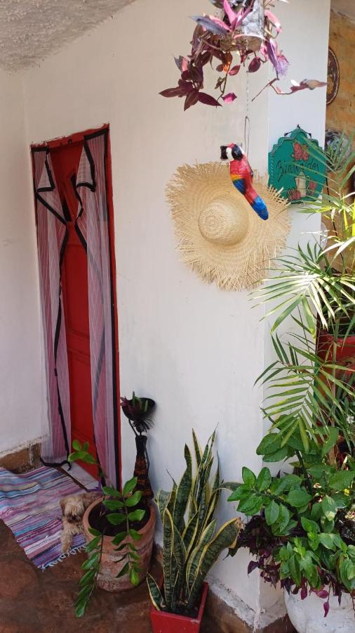 La Petite Maison De Diana อะซุนซิออง ภายนอก รูปภาพ
