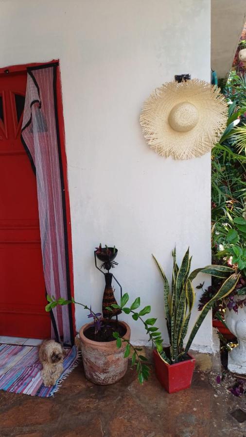La Petite Maison De Diana อะซุนซิออง ภายนอก รูปภาพ